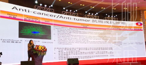 上卿臻盞創始人受邀參加國際燕窩認證研討會，共襄全球燕窩文化學術交流盛舉